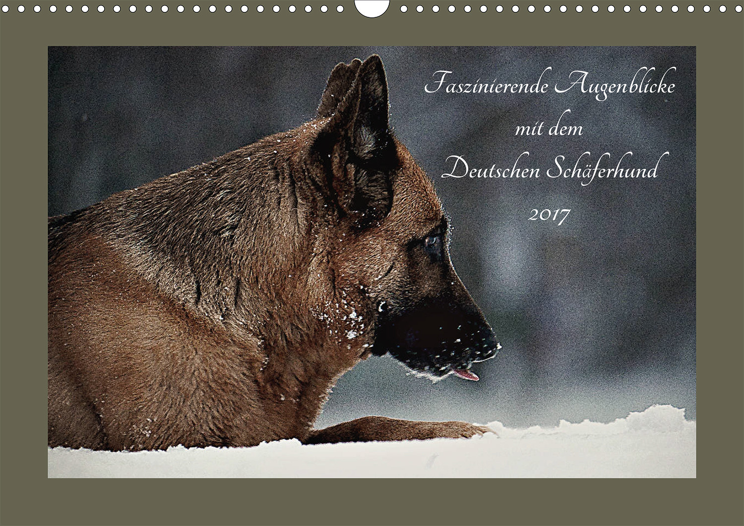 Hundekalender: Faszinierende Augenblicke mit dem Deutschen Schäferhund 2017